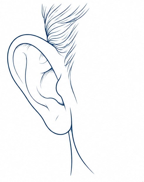 Ear seen from the front, sticking out from the head.