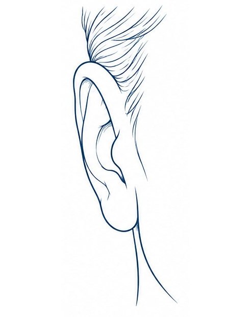 The same ear, closer to the head.